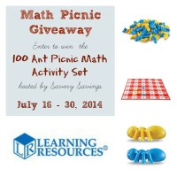 Math Picnic Giveaway ends 7/30